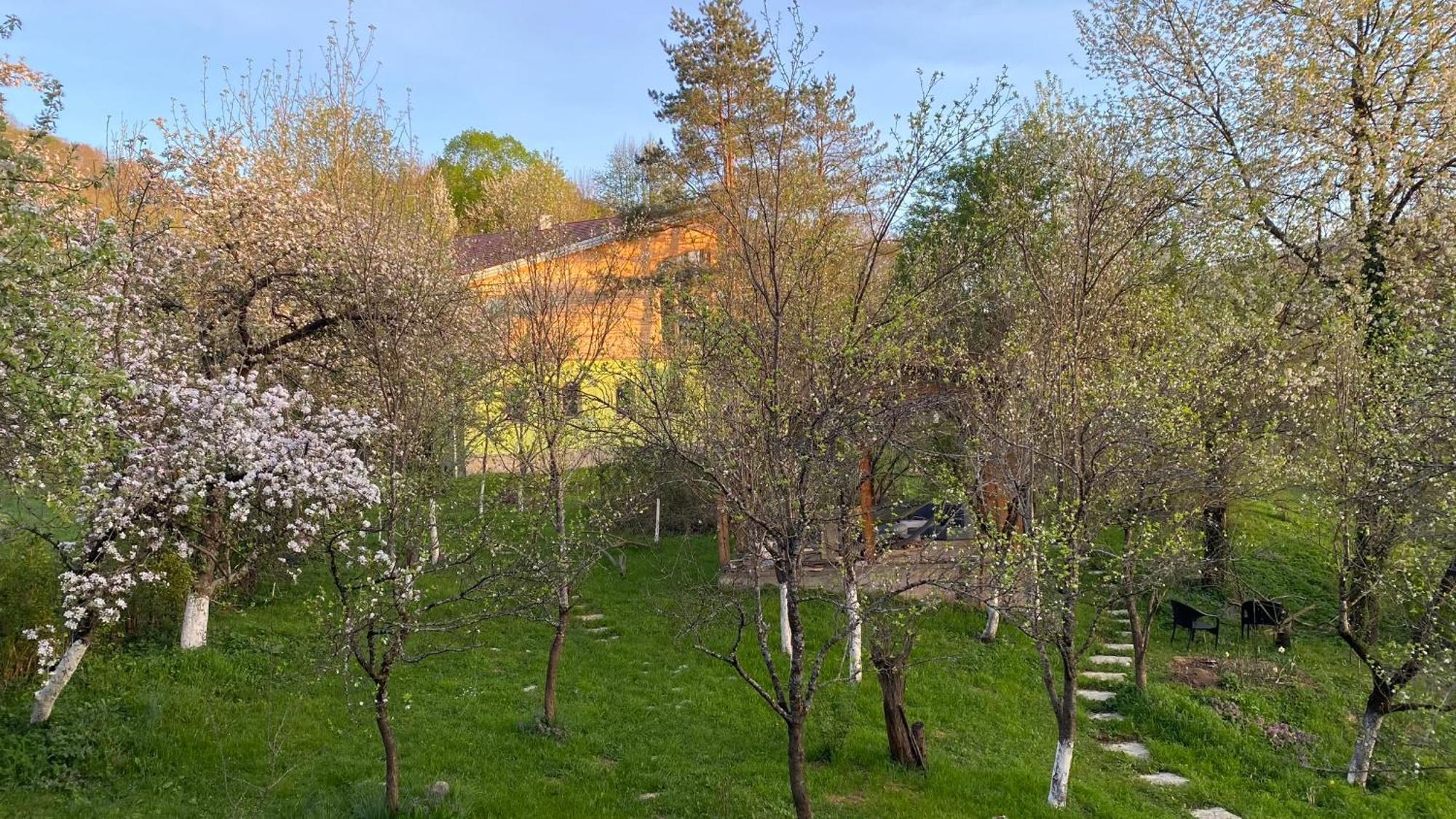 Atlantis Home Kulen Vakuf Εξωτερικό φωτογραφία