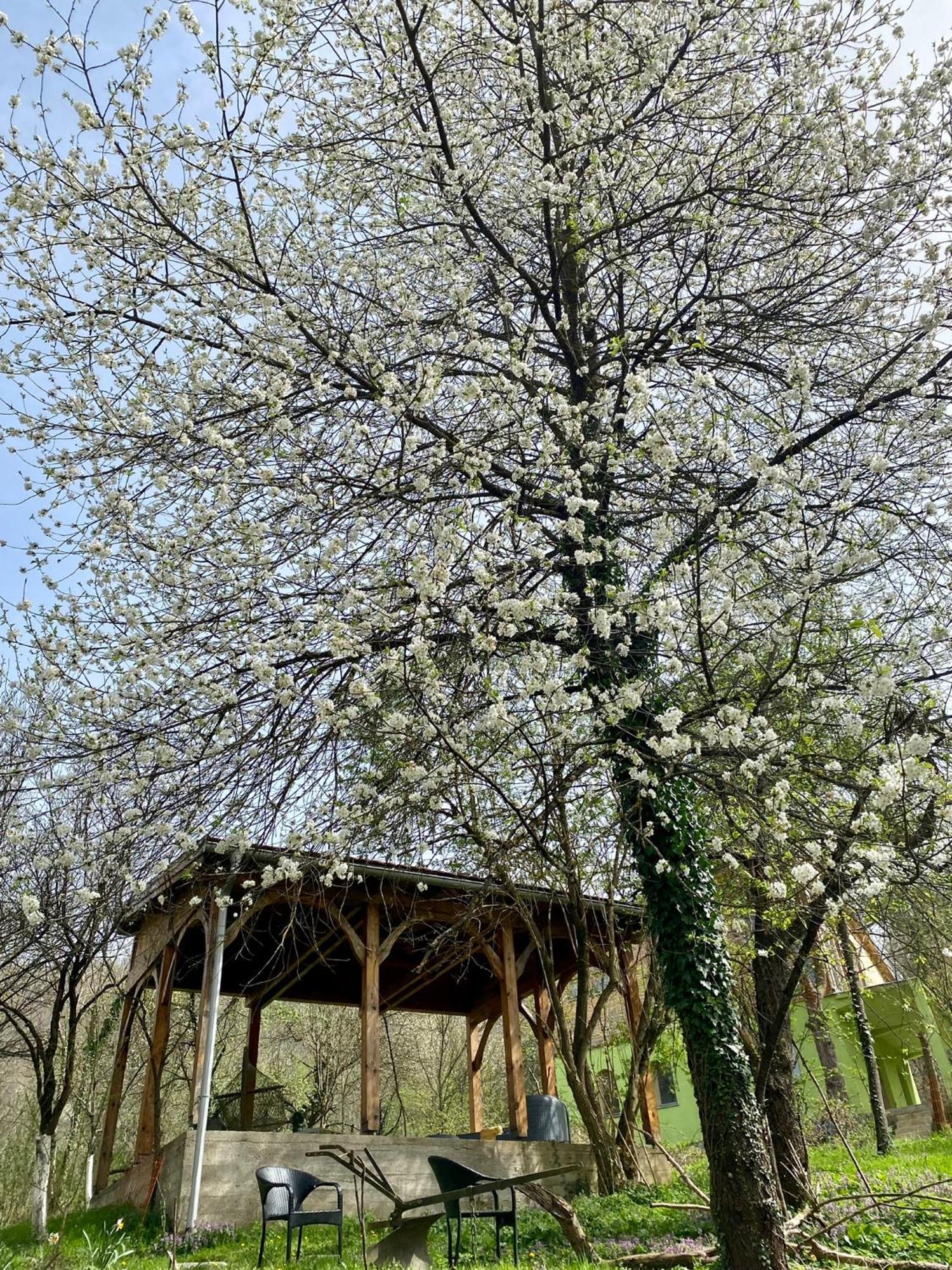 Atlantis Home Kulen Vakuf Εξωτερικό φωτογραφία